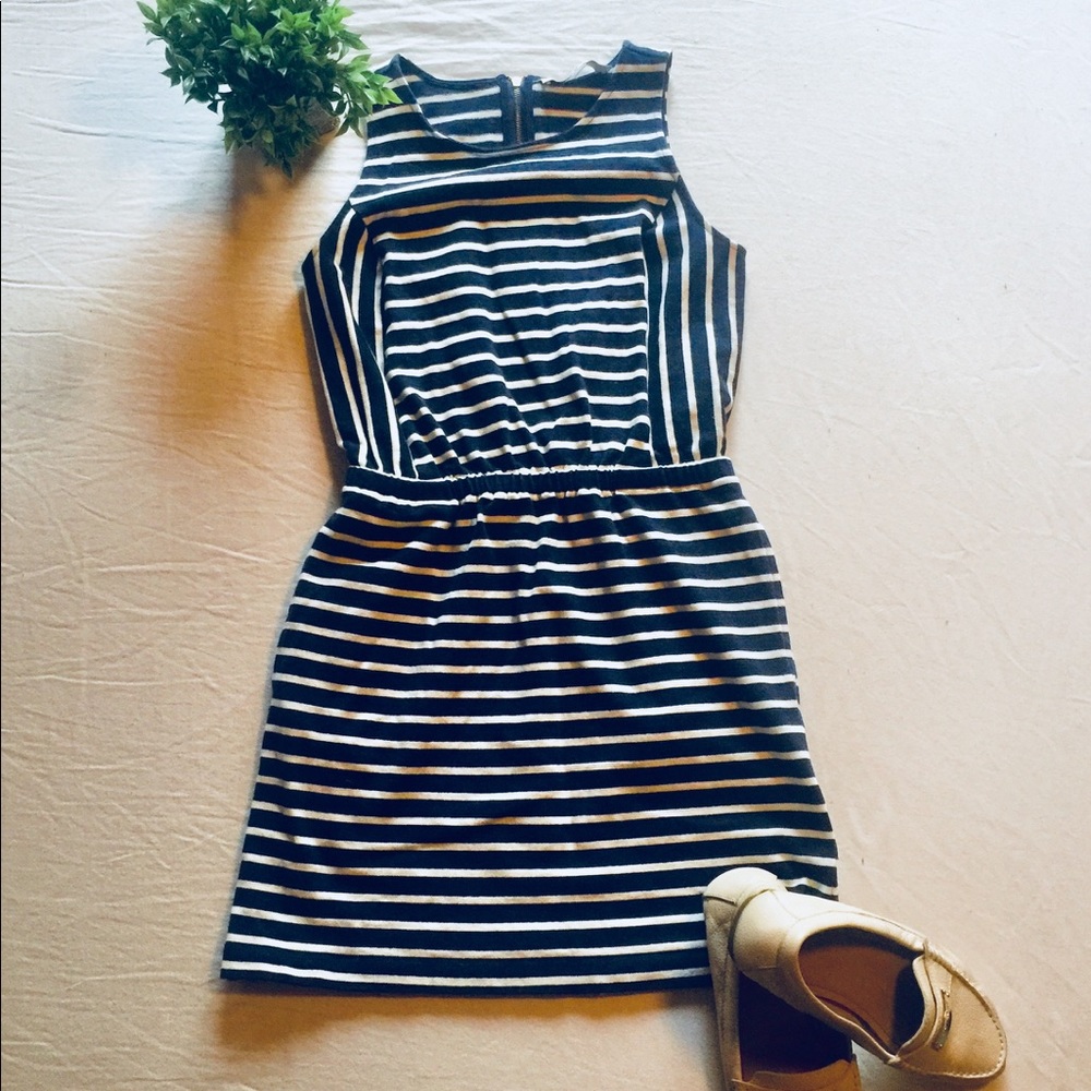 Ann Taylor LOFT Knit Mini Dress